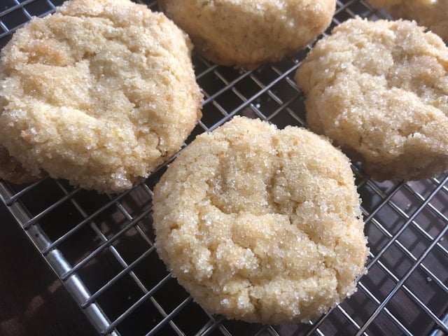 Gingered Sugar Cookies